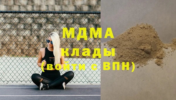 стаф Алексин