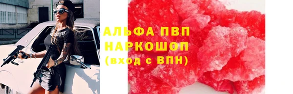 стаф Алексин