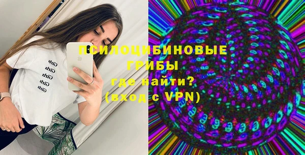 стаф Алексин