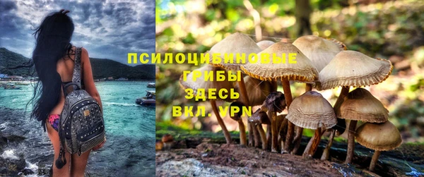 молекула духа Арсеньев