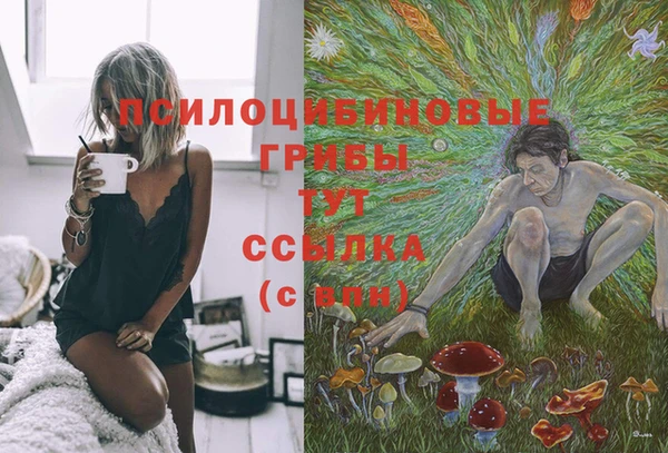 СК Алзамай