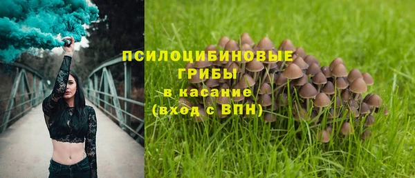 стаф Алексин