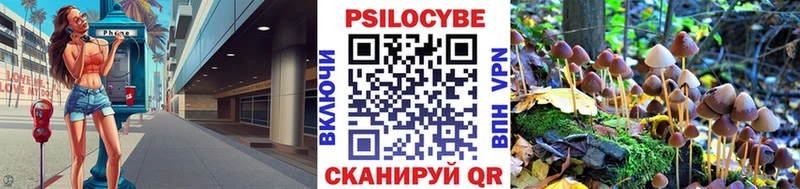мориарти Telegram  Байкальск  Псилоцибиновые грибы Cubensis  где продают  